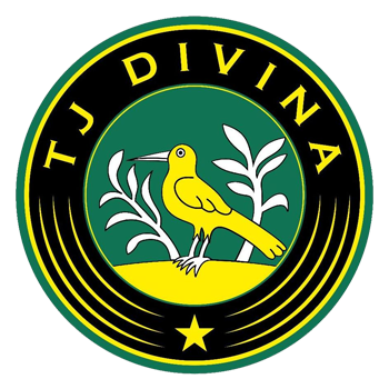 TJ Divina